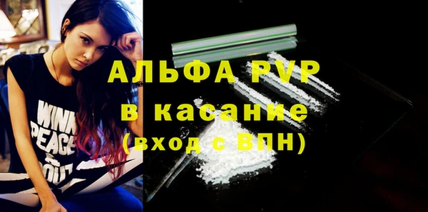 шишки Елизово
