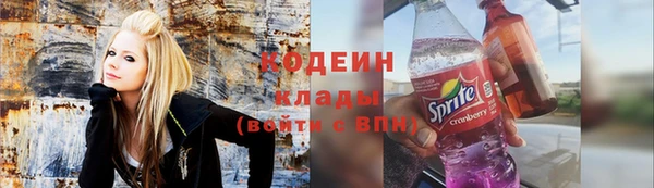 тгк Ельня