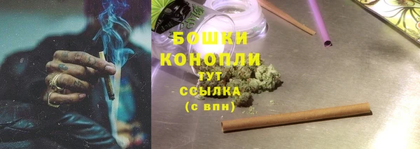 тгк Ельня