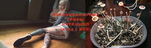 шишки Елизово