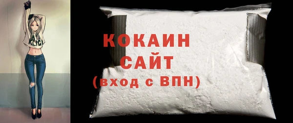 тгк Ельня