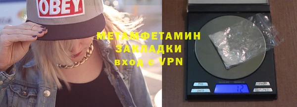 шишки Елизово