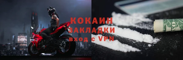 тгк Ельня