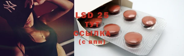 прущая мука Елабуга