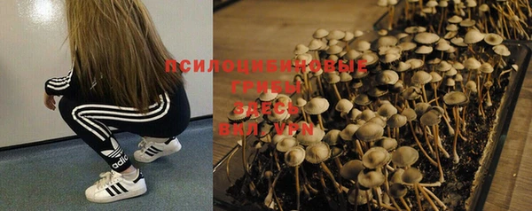 тгк Ельня