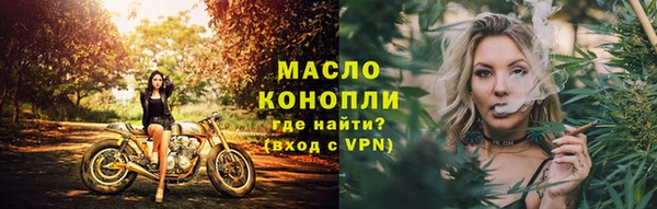 шишки Елизово