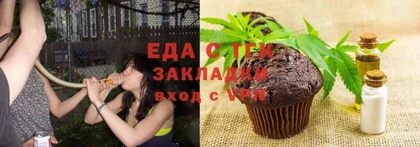 тгк Ельня