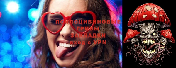 тгк Ельня