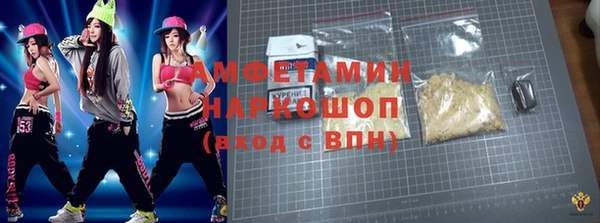 шишки Елизово