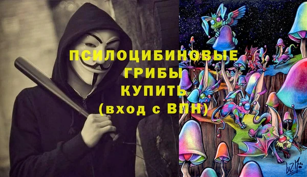 шишки Елизово