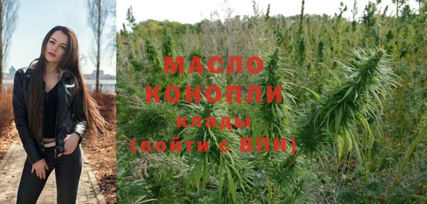 тгк Ельня